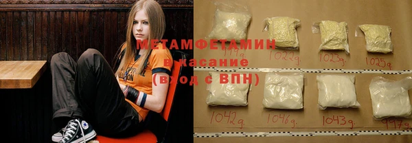 шишки Аркадак