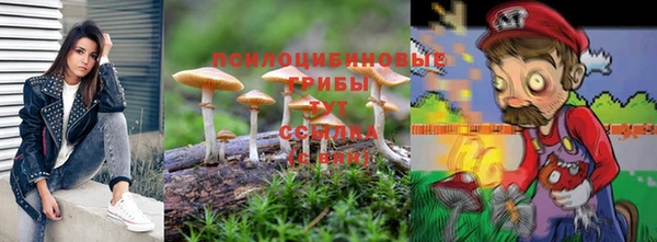 шишки Аркадак