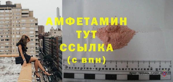 шишки Аркадак