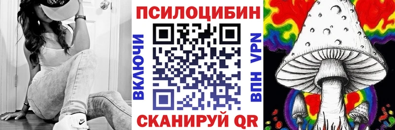 Псилоцибиновые грибы Psilocybe  KRAKEN ссылка  Шарья 